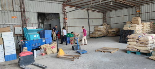 廣東省惠陽食品進出口公司 惠陽區(qū)商業(yè)集團公司等國有企業(yè)開展安全生產(chǎn)檢查